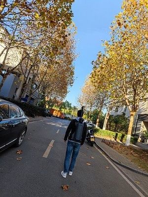 Πολυ τρισδιάστατο ραντάρ με ακτίνες laser HiSLAM τρόπου για τη δασική έρευνα των πόρων